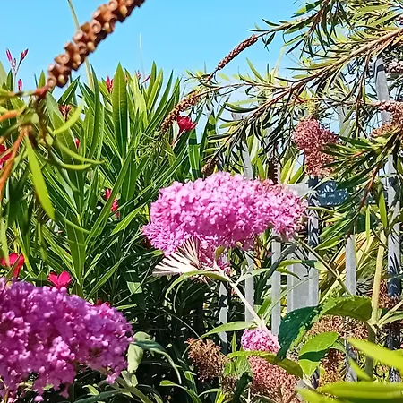 Montegolo Apartment *