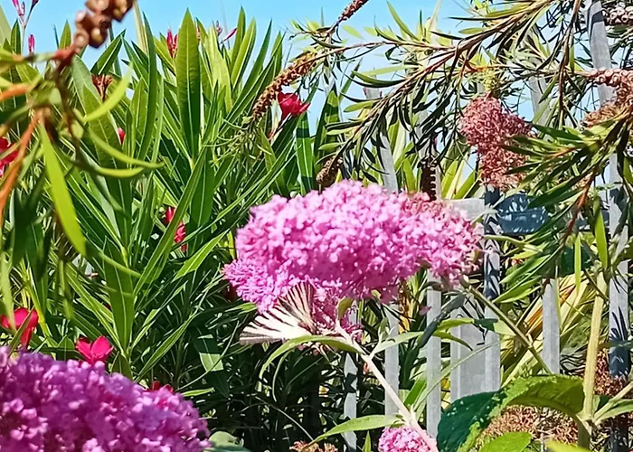 Montegolo Appartamento *